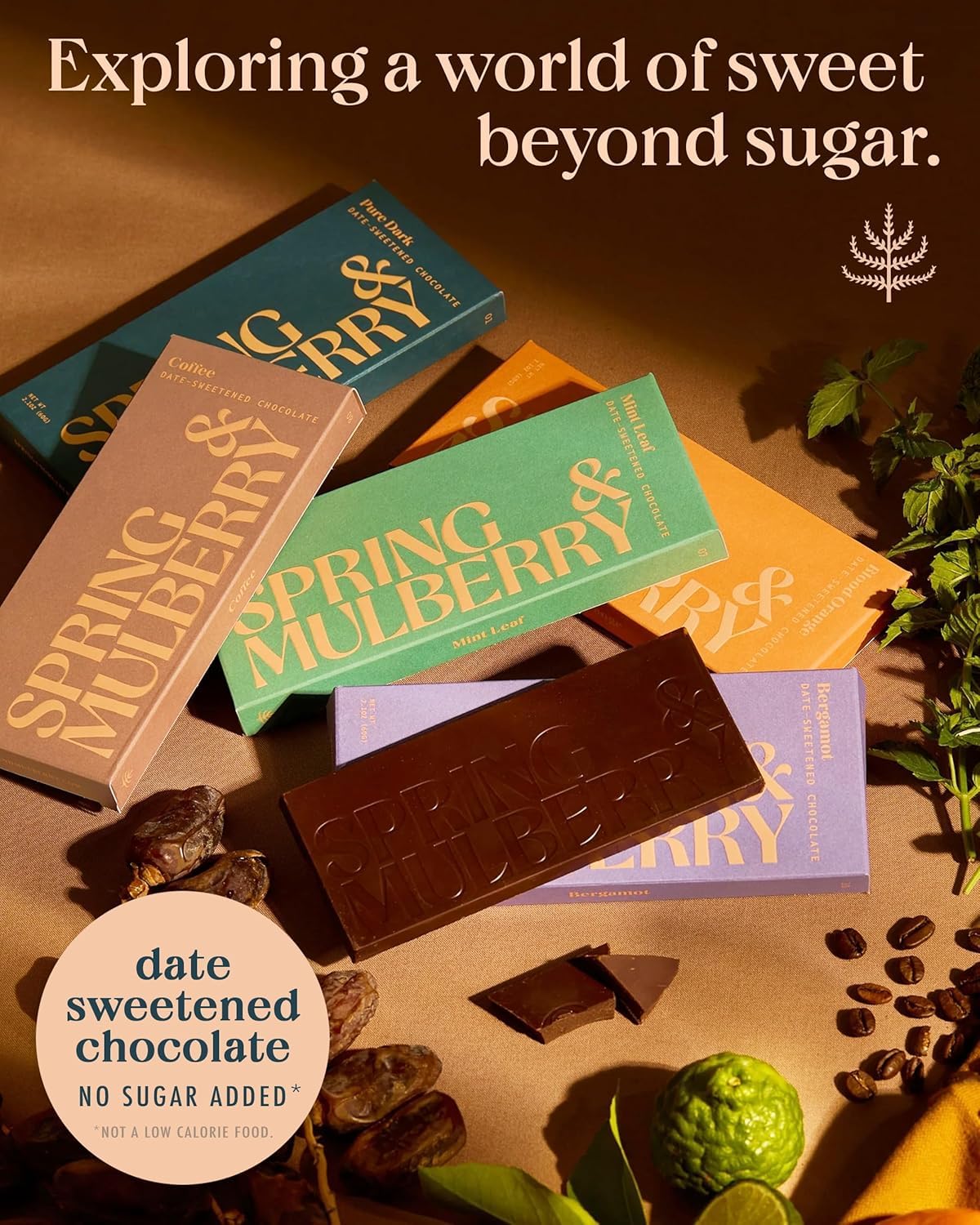 Spring & Mulberry Earl Grey Date-Sweetened Dark Chocolate, 12-Pack