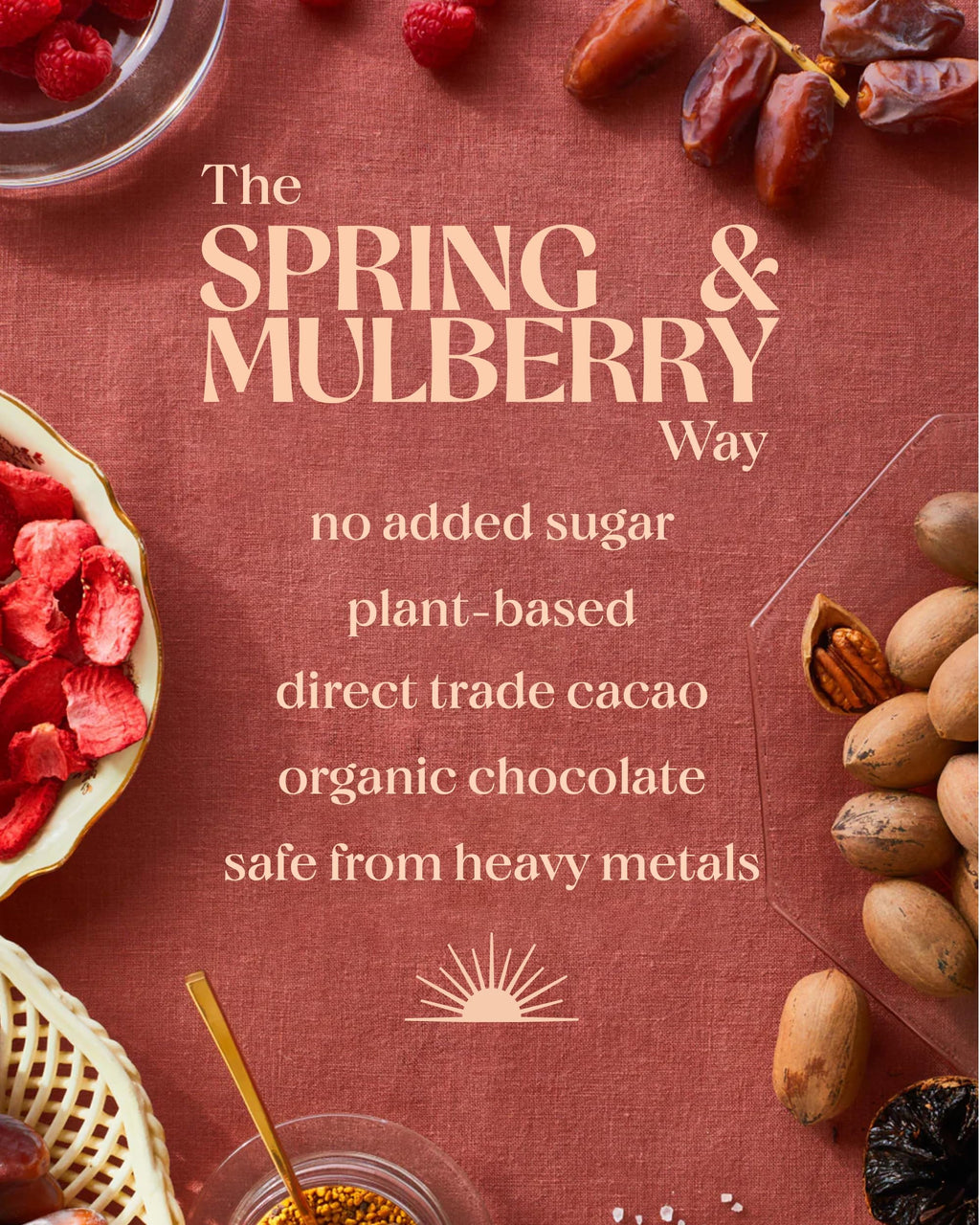 Spring & Mulberry Earl Grey Date-Sweetened Dark Chocolate, 12-Pack